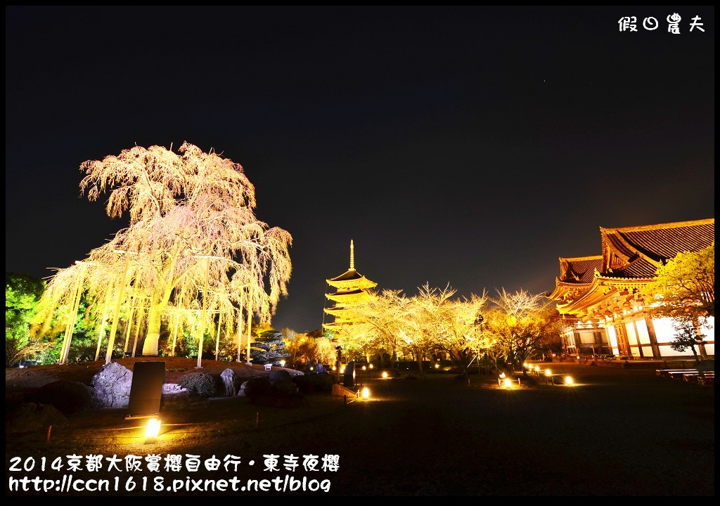 【日本旅遊】京都大阪賞櫻自由行．東寺夜櫻．怎麼可以這麼漂亮 @假日農夫愛趴趴照