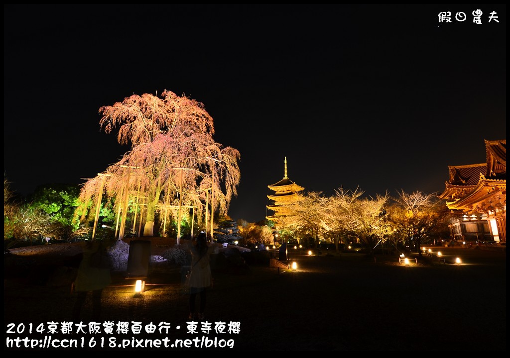 【日本旅遊】京都大阪賞櫻自由行．東寺夜櫻．怎麼可以這麼漂亮 @假日農夫愛趴趴照