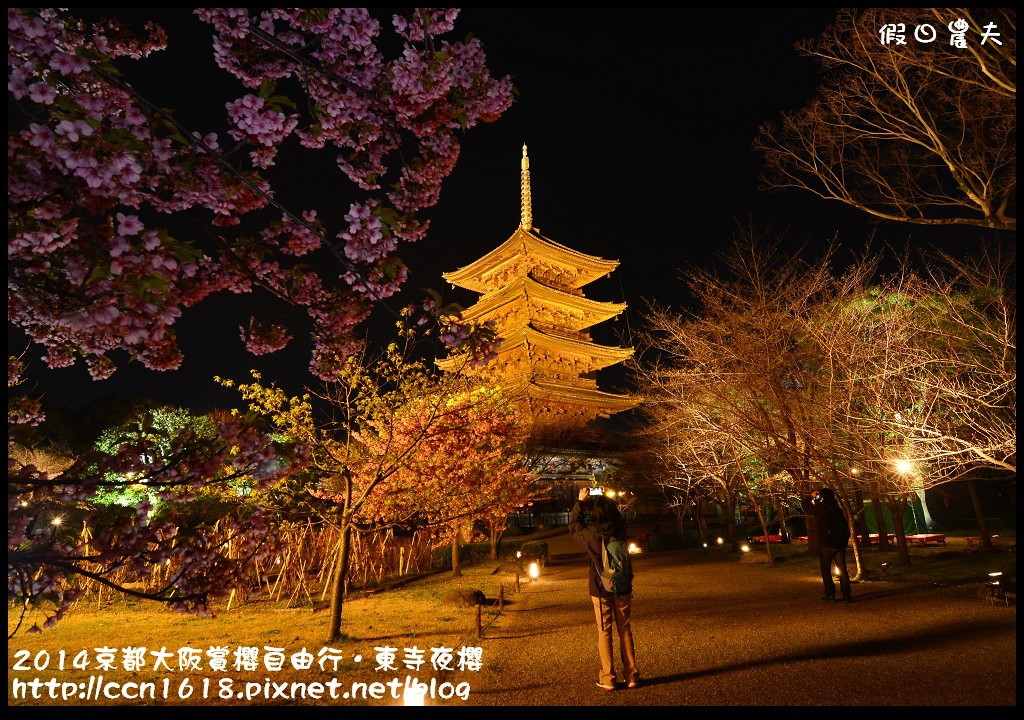 【日本旅遊】京都大阪賞櫻自由行．東寺夜櫻．怎麼可以這麼漂亮 @假日農夫愛趴趴照