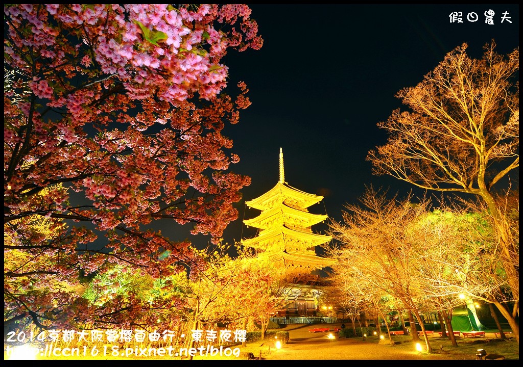 【日本旅遊】京都大阪賞櫻自由行．東寺夜櫻．怎麼可以這麼漂亮 @假日農夫愛趴趴照