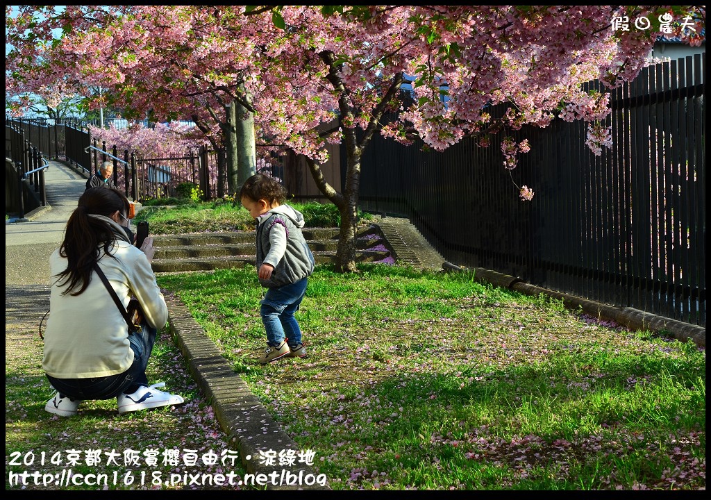 【日本旅遊】京都大阪賞櫻自由行．淀水路河津櫻滿開．淀城址公園 @假日農夫愛趴趴照