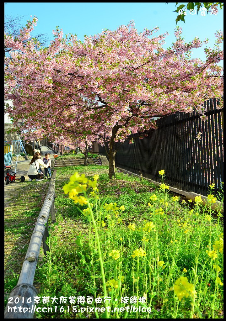 【日本旅遊】京都大阪賞櫻自由行．淀水路河津櫻滿開．淀城址公園 @假日農夫愛趴趴照