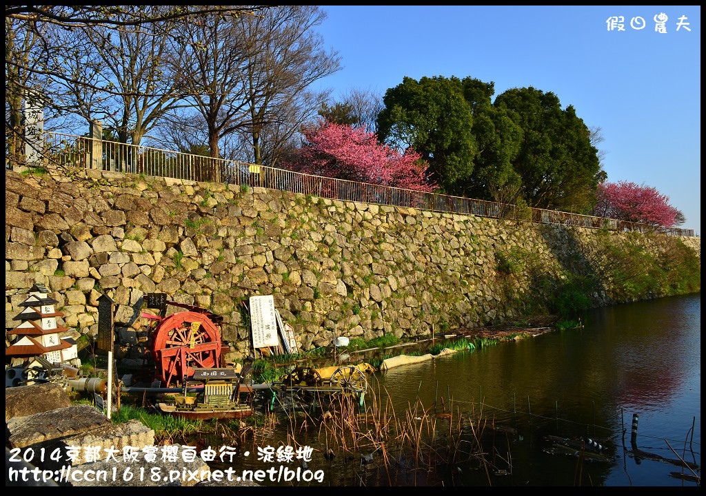 【日本旅遊】京都大阪賞櫻自由行．淀水路河津櫻滿開．淀城址公園 @假日農夫愛趴趴照