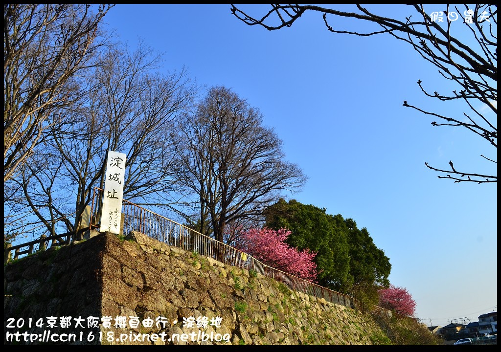 【日本旅遊】京都大阪賞櫻自由行．淀水路河津櫻滿開．淀城址公園 @假日農夫愛趴趴照