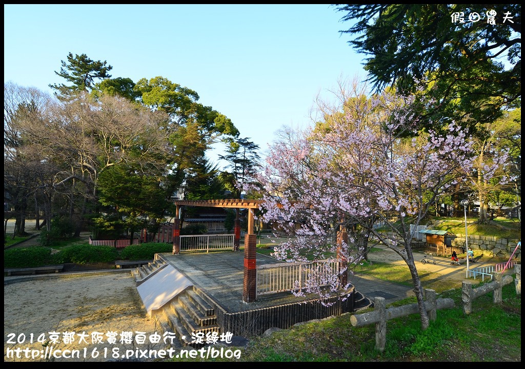 【日本旅遊】京都大阪賞櫻自由行．淀水路河津櫻滿開．淀城址公園 @假日農夫愛趴趴照