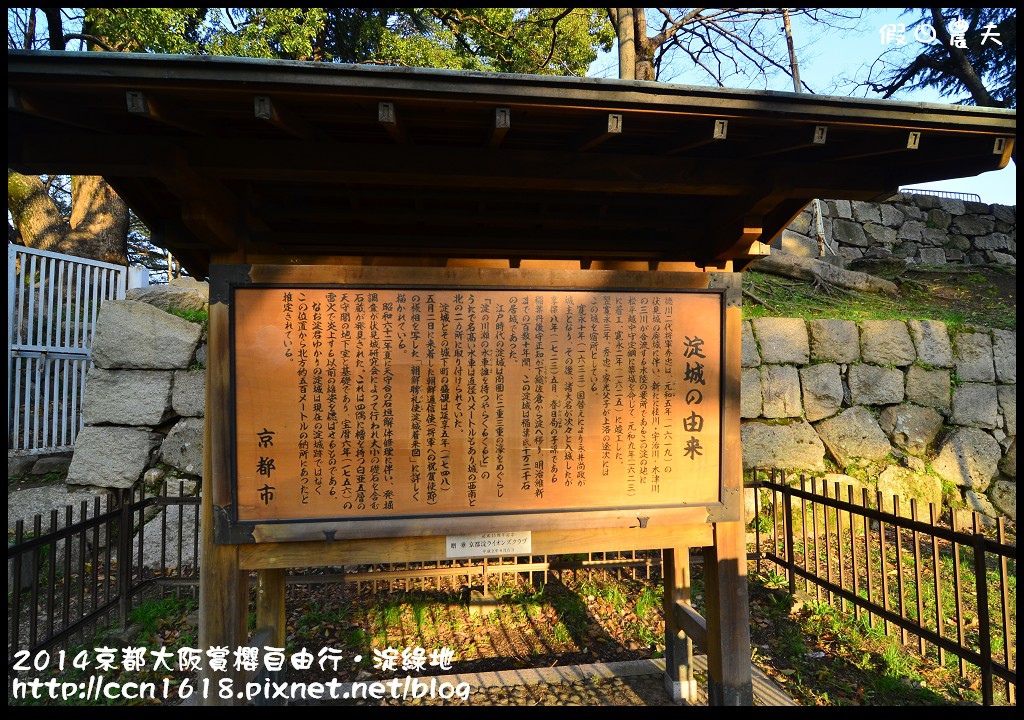 【日本旅遊】京都大阪賞櫻自由行．淀水路河津櫻滿開．淀城址公園 @假日農夫愛趴趴照