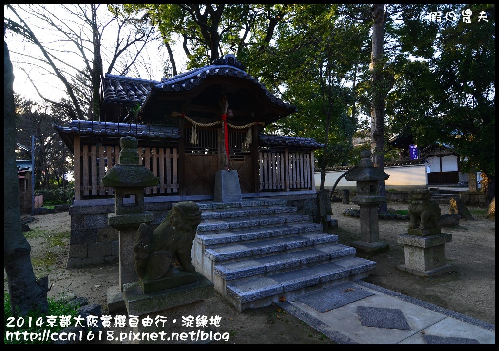 【日本旅遊】京都大阪賞櫻自由行．淀水路河津櫻滿開．淀城址公園 @假日農夫愛趴趴照