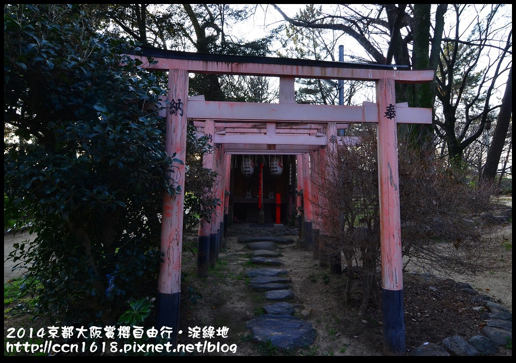 【日本旅遊】京都大阪賞櫻自由行．淀水路河津櫻滿開．淀城址公園 @假日農夫愛趴趴照