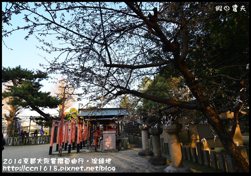 【日本旅遊】京都大阪賞櫻自由行．淀水路河津櫻滿開．淀城址公園 @假日農夫愛趴趴照