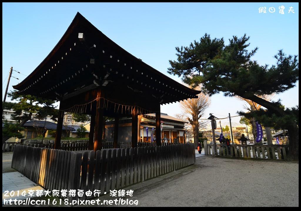 【日本旅遊】京都大阪賞櫻自由行．淀水路河津櫻滿開．淀城址公園 @假日農夫愛趴趴照