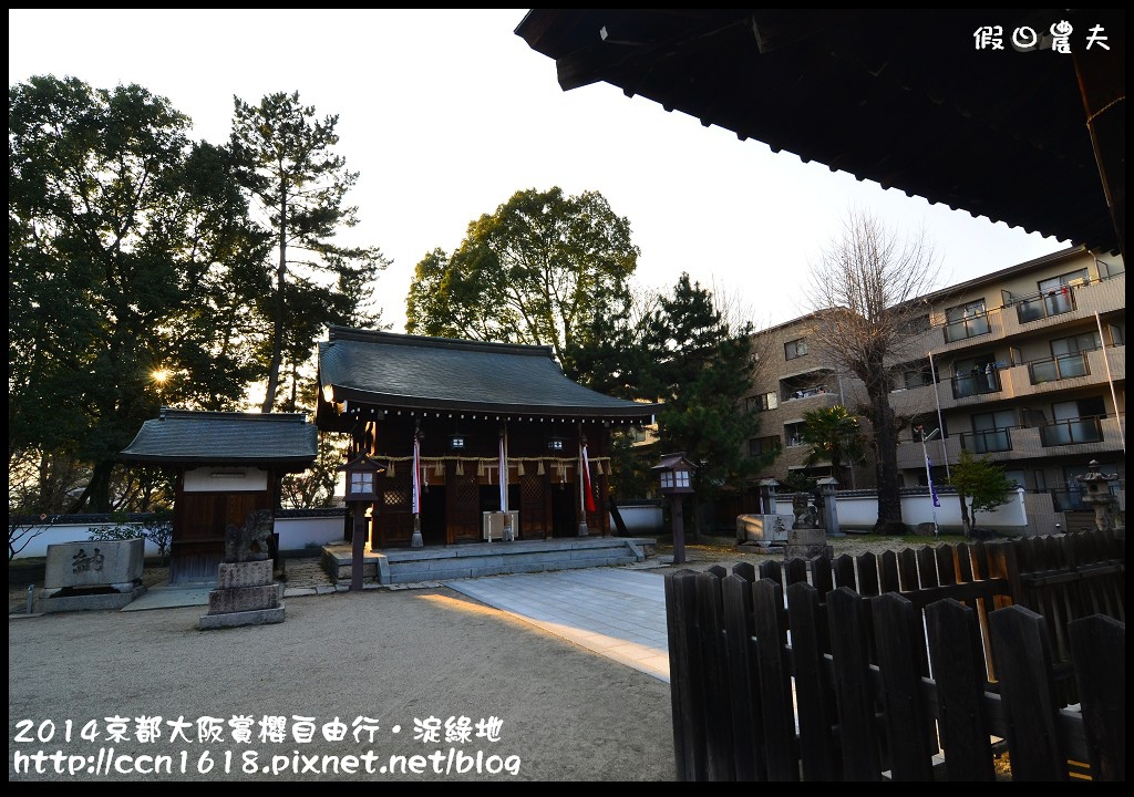 【日本旅遊】京都大阪賞櫻自由行．淀水路河津櫻滿開．淀城址公園 @假日農夫愛趴趴照