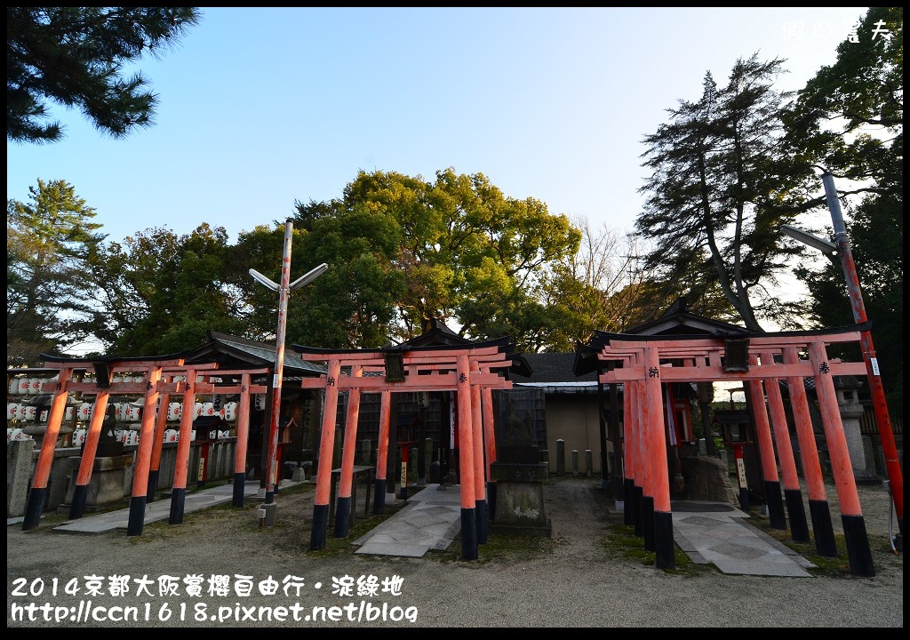 【日本旅遊】京都大阪賞櫻自由行．淀水路河津櫻滿開．淀城址公園 @假日農夫愛趴趴照