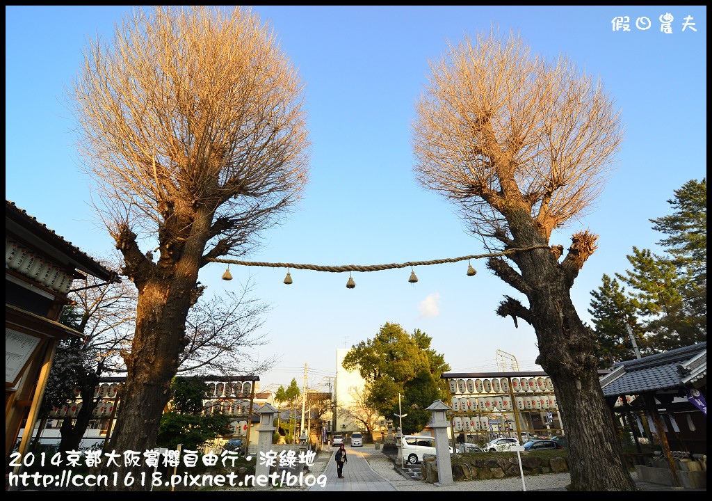 【日本旅遊】京都大阪賞櫻自由行．淀水路河津櫻滿開．淀城址公園 @假日農夫愛趴趴照