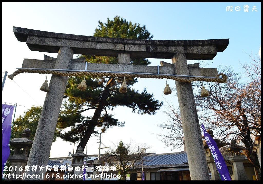 【日本旅遊】京都大阪賞櫻自由行．淀水路河津櫻滿開．淀城址公園 @假日農夫愛趴趴照