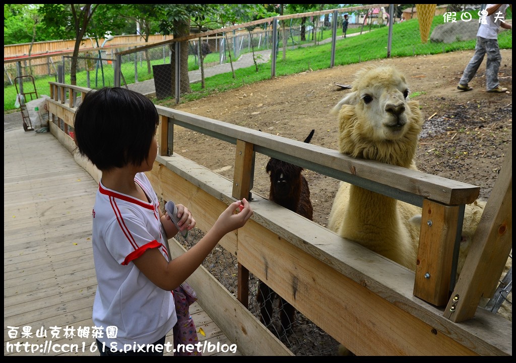 【彰化旅遊】克林姆莊園‧百果山溜滑梯‧親子旅遊好去處(已歇業，更名為百果山探索樂園) @假日農夫愛趴趴照