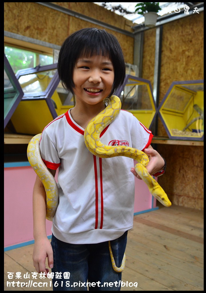 【彰化旅遊】克林姆莊園‧百果山溜滑梯‧親子旅遊好去處(已歇業，更名為百果山探索樂園) @假日農夫愛趴趴照