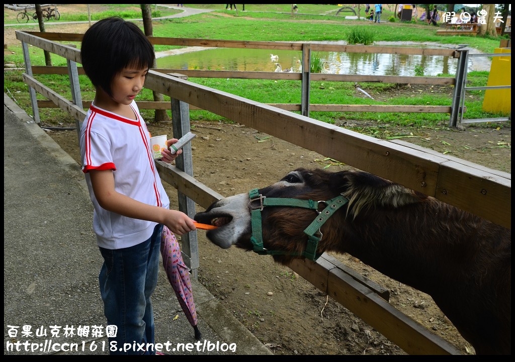 【彰化旅遊】克林姆莊園‧百果山溜滑梯‧親子旅遊好去處(已歇業，更名為百果山探索樂園) @假日農夫愛趴趴照