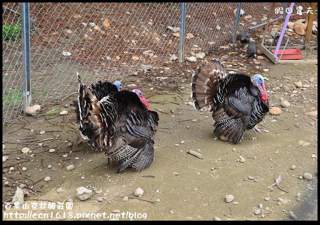 【彰化旅遊】克林姆莊園‧百果山溜滑梯‧親子旅遊好去處(已歇業，更名為百果山探索樂園) @假日農夫愛趴趴照