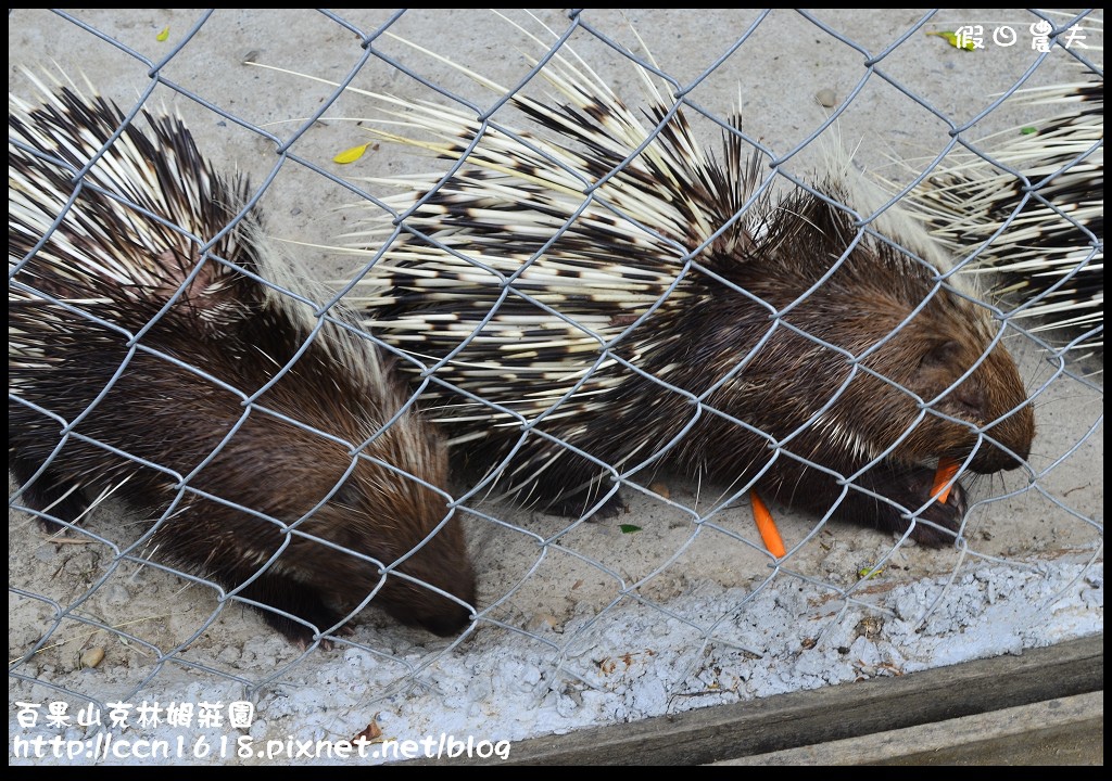 【彰化旅遊】克林姆莊園‧百果山溜滑梯‧親子旅遊好去處(已歇業，更名為百果山探索樂園) @假日農夫愛趴趴照