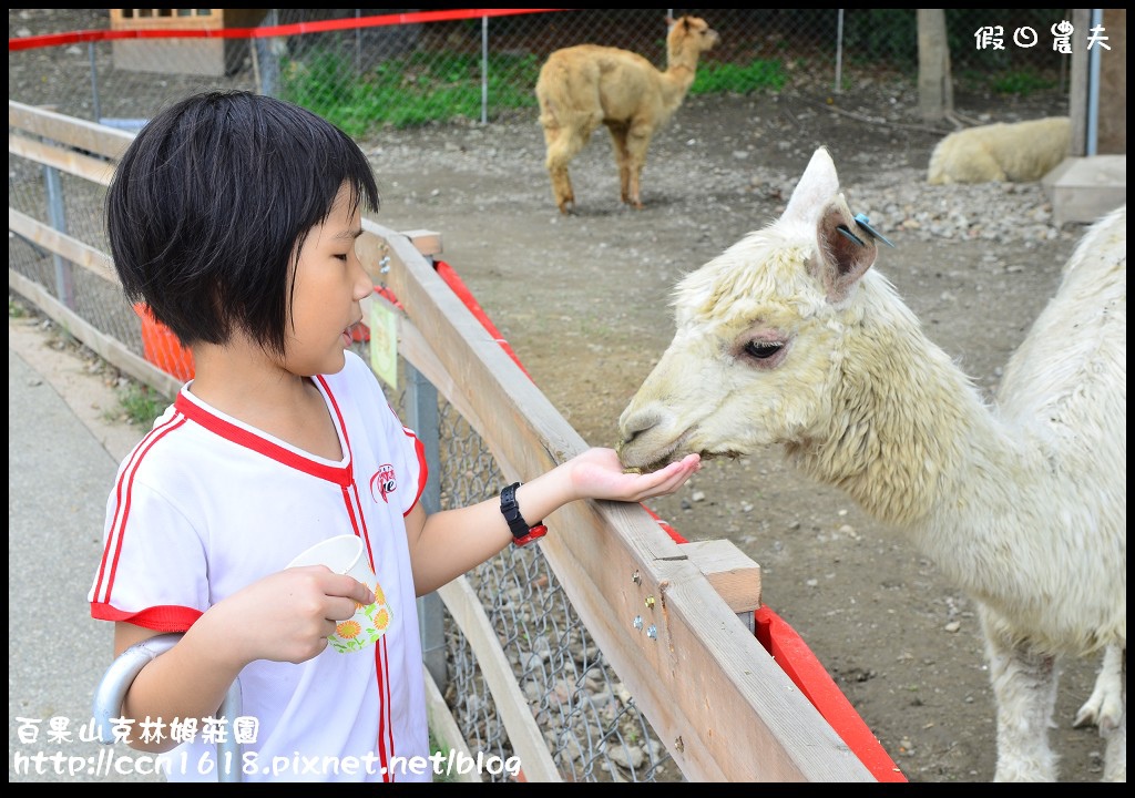 【彰化旅遊】克林姆莊園‧百果山溜滑梯‧親子旅遊好去處(已歇業，更名為百果山探索樂園) @假日農夫愛趴趴照