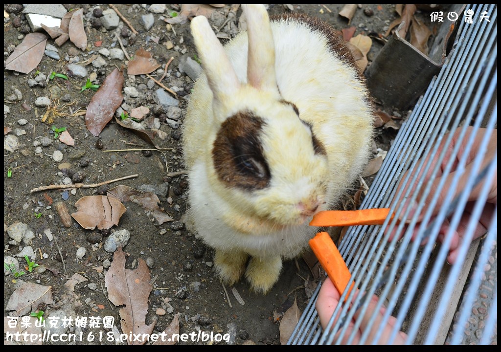 【彰化旅遊】克林姆莊園‧百果山溜滑梯‧親子旅遊好去處(已歇業，更名為百果山探索樂園) @假日農夫愛趴趴照