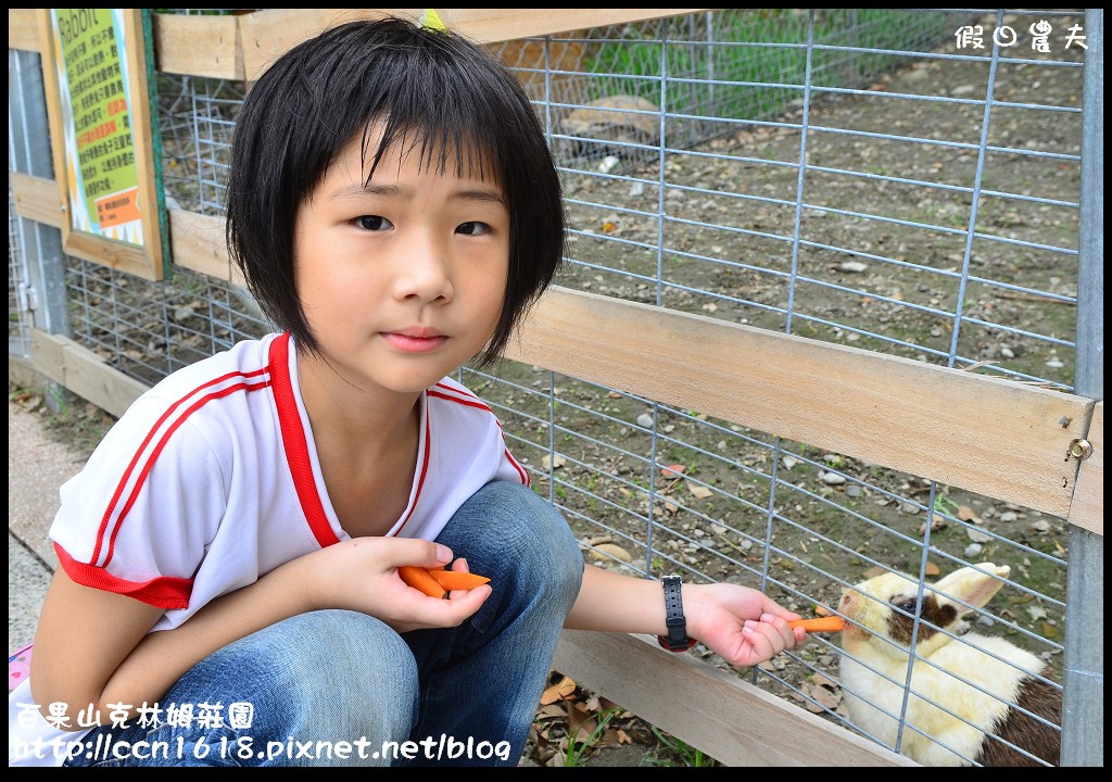 【彰化旅遊】克林姆莊園‧百果山溜滑梯‧親子旅遊好去處(已歇業，更名為百果山探索樂園) @假日農夫愛趴趴照