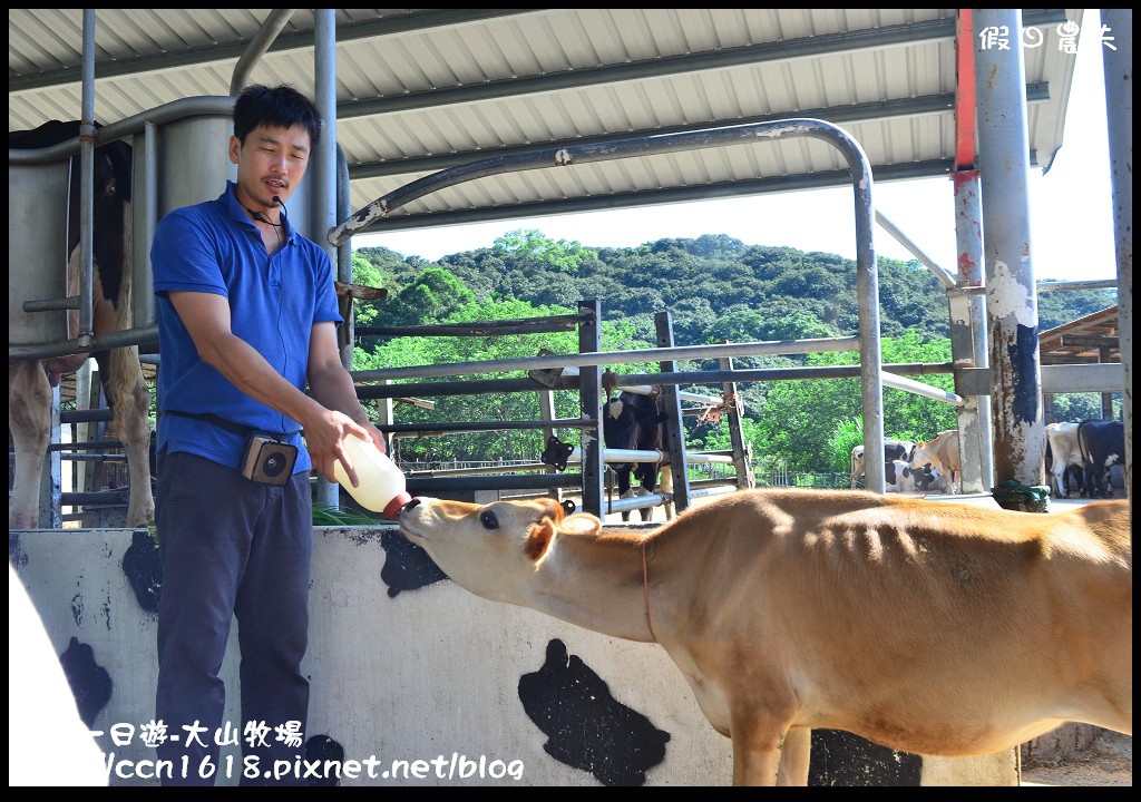 【彰化旅遊】彰化好好玩-大山牧場‧茉莉花壇夢想館 @假日農夫愛趴趴照