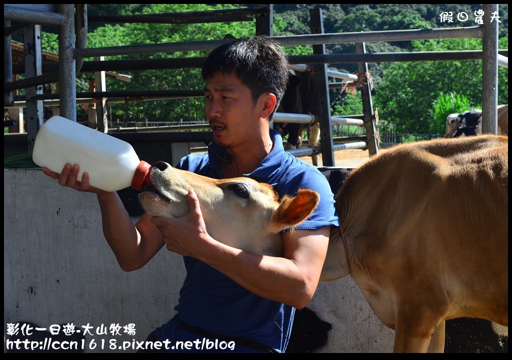 【彰化旅遊】彰化好好玩-大山牧場‧茉莉花壇夢想館 @假日農夫愛趴趴照