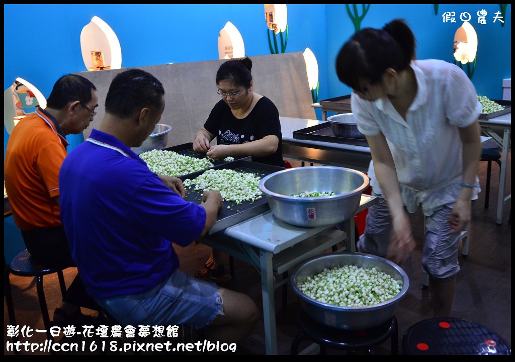 【彰化旅遊】彰化好好玩-大山牧場‧茉莉花壇夢想館 @假日農夫愛趴趴照