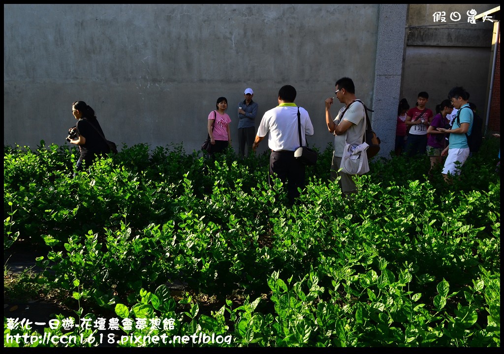 【彰化旅遊】彰化好好玩-大山牧場‧茉莉花壇夢想館 @假日農夫愛趴趴照