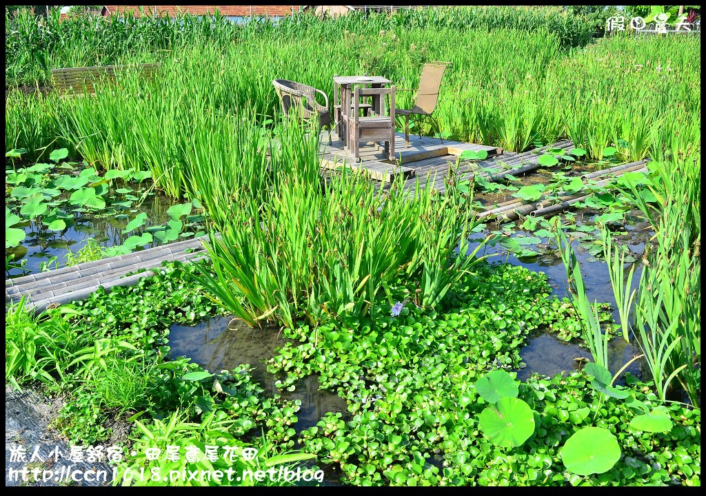 【彰化景點】旅人小屋舒宿‧花現鳶尾花/一日遊/半日遊/民宿 @假日農夫愛趴趴照