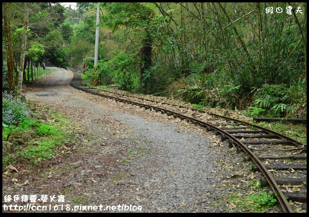 螢火蟲|中部及嘉義地區賞螢景點懶人包/鹿谷三生緣區/鳳凰谷鳥園/頭社水庫/內有拍攝技巧 @假日農夫愛趴趴照