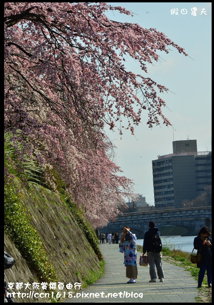 【日本旅遊】2014京都大阪賞櫻自由行．行程總覽 @假日農夫愛趴趴照