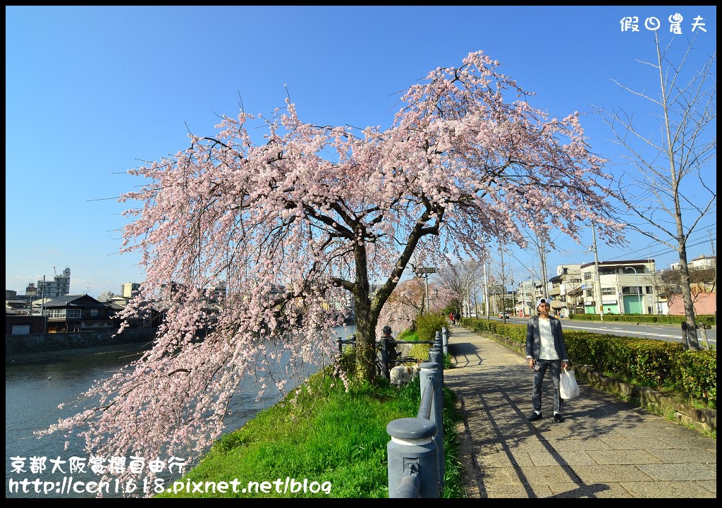 【日本旅遊】2014京都大阪賞櫻自由行．行程總覽 @假日農夫愛趴趴照