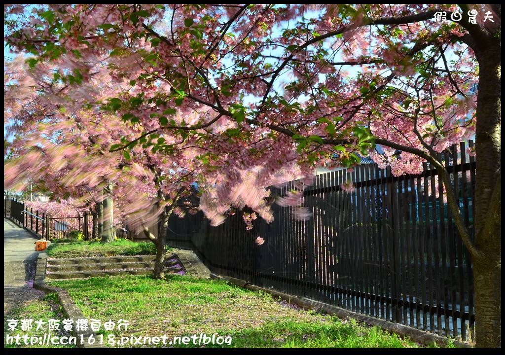 【日本旅遊】2014京都大阪賞櫻自由行．行程總覽 @假日農夫愛趴趴照