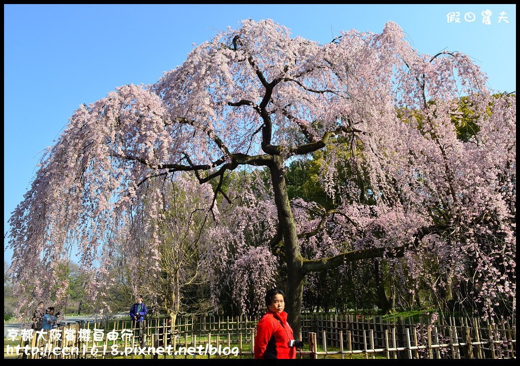 【日本旅遊】2014京都大阪賞櫻自由行．行程總覽 @假日農夫愛趴趴照