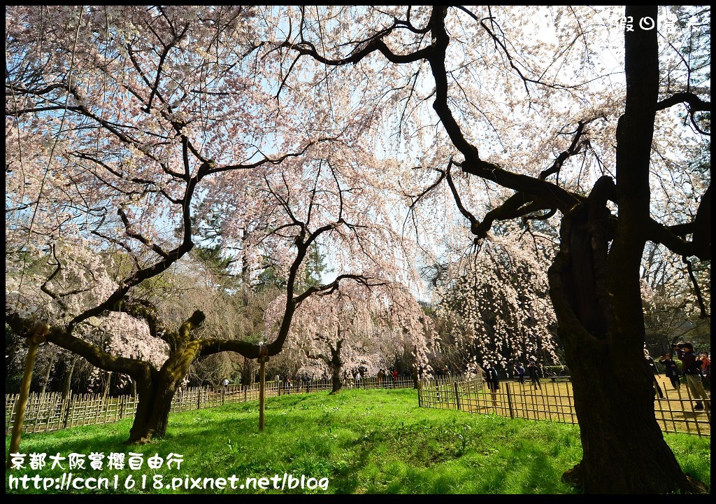 【日本旅遊】2014京都大阪賞櫻自由行．行程總覽 @假日農夫愛趴趴照