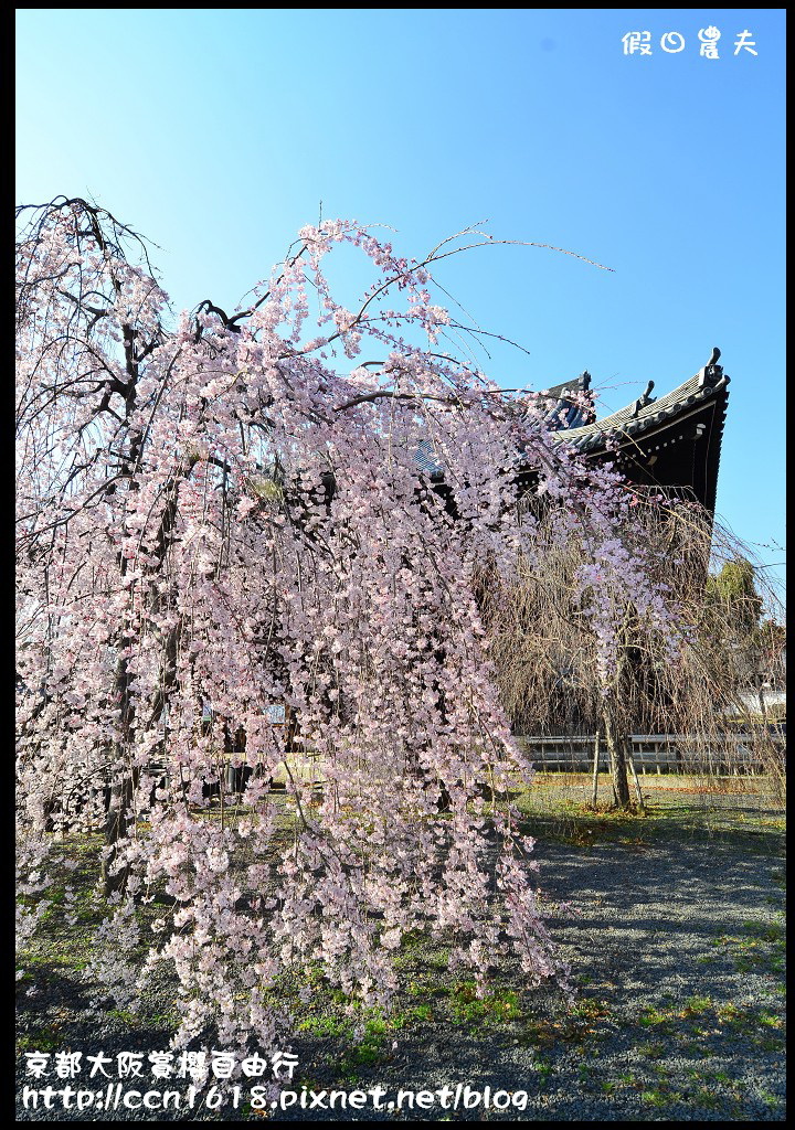 【日本旅遊】2014京都大阪賞櫻自由行．行程總覽 @假日農夫愛趴趴照