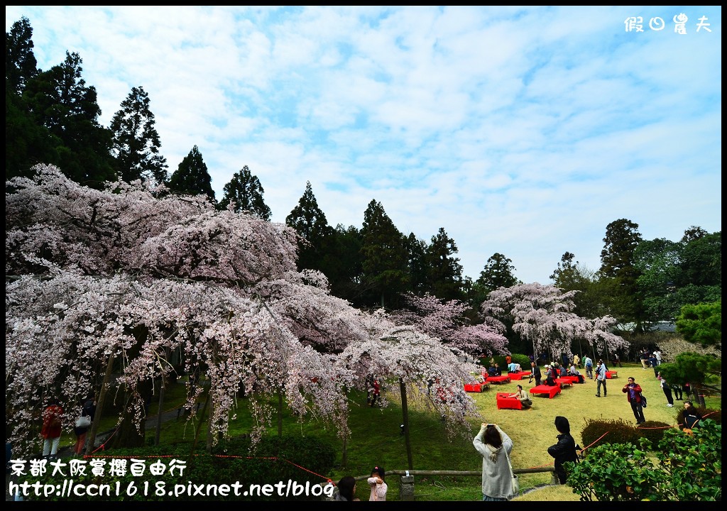 【日本旅遊】2014京都大阪賞櫻自由行．行程總覽 @假日農夫愛趴趴照