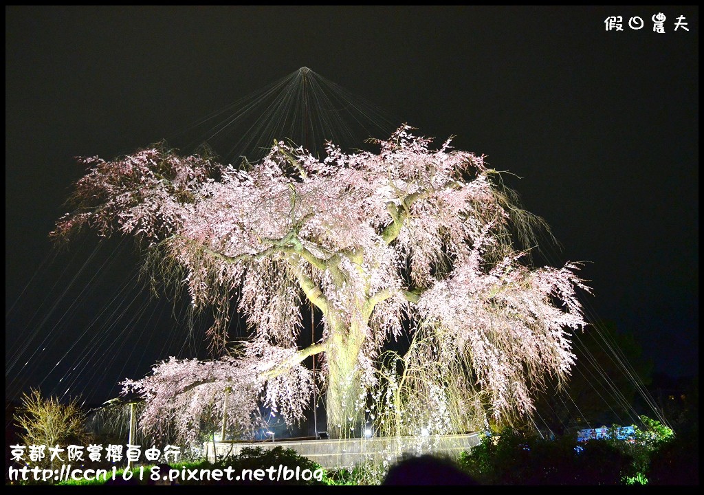 【日本旅遊】2014京都大阪賞櫻自由行．行程總覽 @假日農夫愛趴趴照