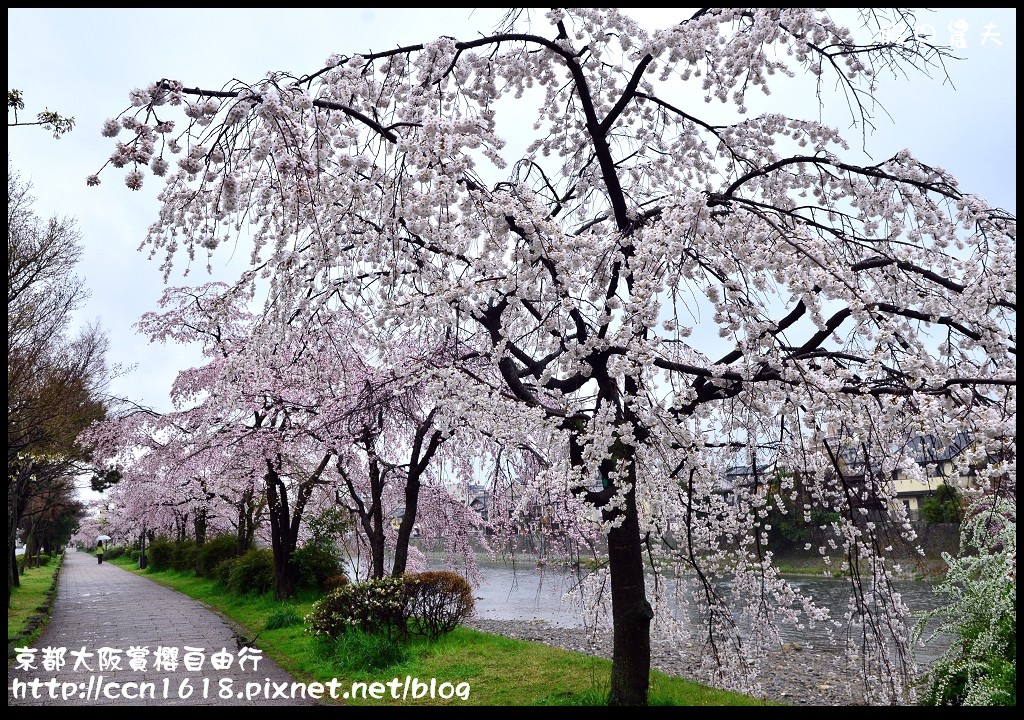 【日本旅遊】2014京都大阪賞櫻自由行．行程總覽 @假日農夫愛趴趴照