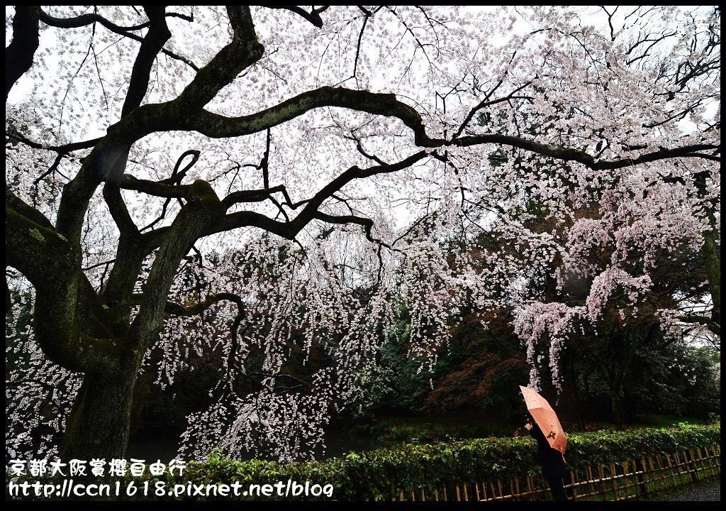 【日本旅遊】2014京都大阪賞櫻自由行．行程總覽 @假日農夫愛趴趴照