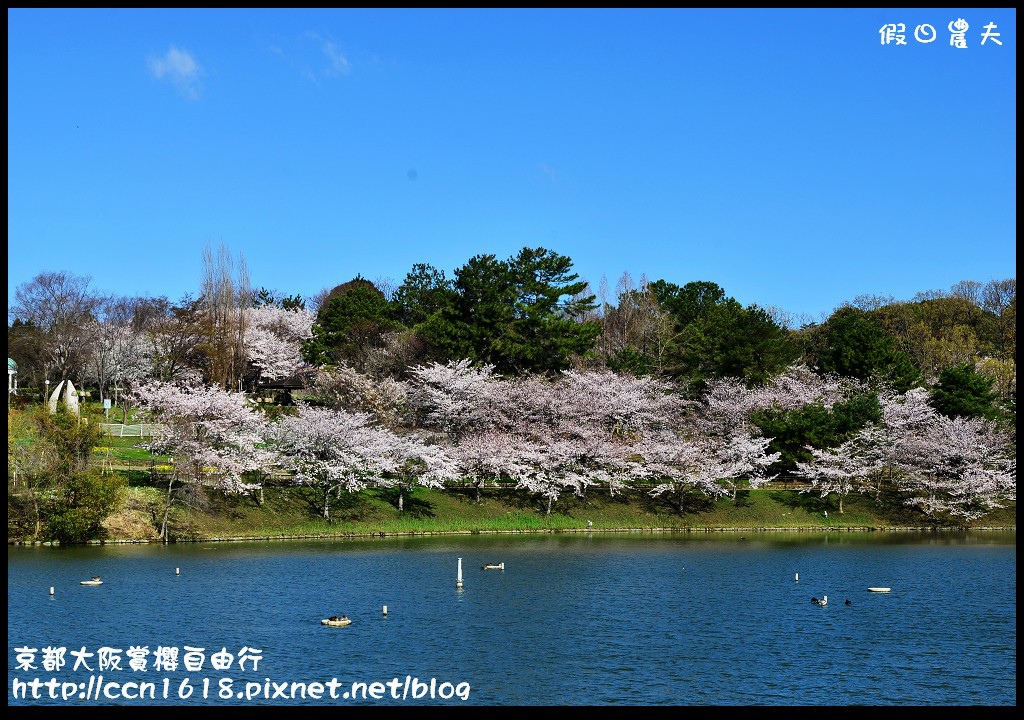 【日本旅遊】2014京都大阪賞櫻自由行．行程總覽 @假日農夫愛趴趴照