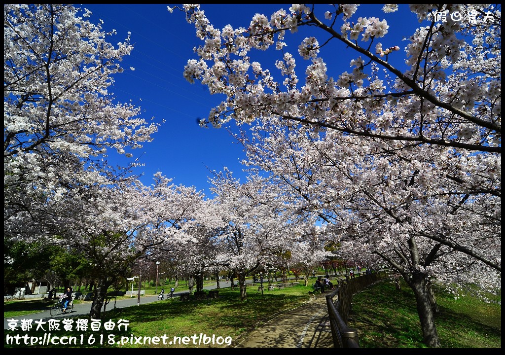 【日本旅遊】2014京都大阪賞櫻自由行．行程總覽 @假日農夫愛趴趴照