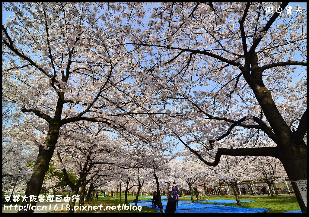 【日本旅遊】2014京都大阪賞櫻自由行．行程總覽 @假日農夫愛趴趴照