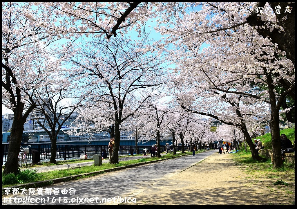 【日本旅遊】2014京都大阪賞櫻自由行．行程總覽 @假日農夫愛趴趴照