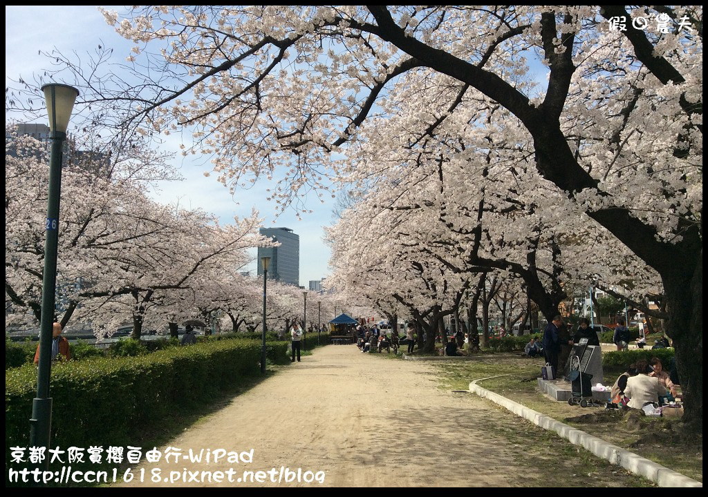 【日本旅遊】京都大阪賞櫻自由行．WiPad行動分享器(內有優惠) @假日農夫愛趴趴照