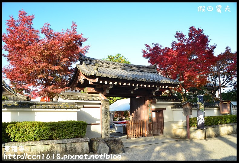 【日本旅遊】京都大阪賞楓自由行．東福寺．楓姿卓越 @假日農夫愛趴趴照