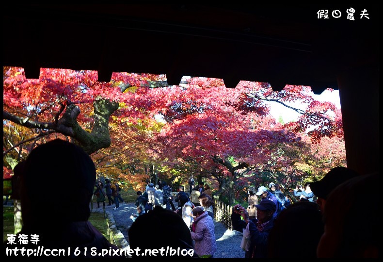 【日本旅遊】京都大阪賞楓自由行．東福寺．楓姿卓越 @假日農夫愛趴趴照