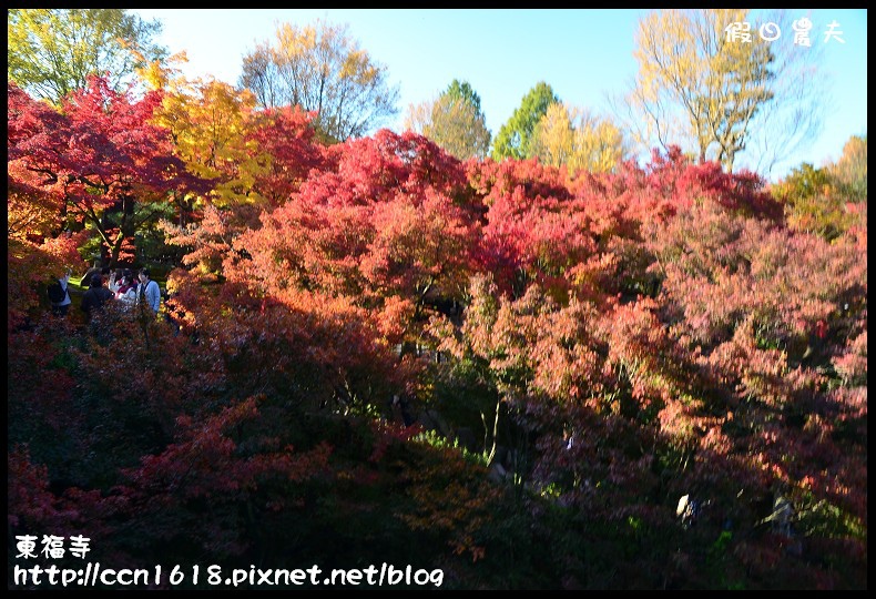 【日本旅遊】京都大阪賞楓自由行．東福寺．楓姿卓越 @假日農夫愛趴趴照